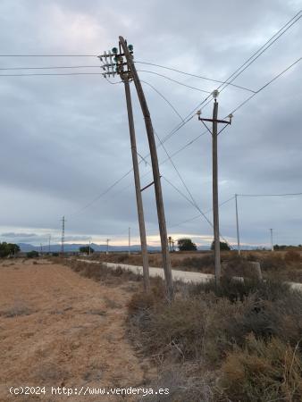 TERRENO EN EL MOLAR ( ZONA LA MARINA ) - ALICANTE