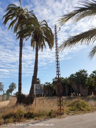 TERRENO JUNTO RESTAURANTE LA URSULA - ALICANTE