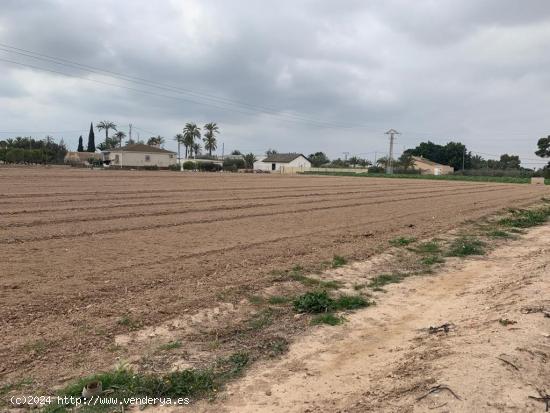 Se vende terreno rústico cerca de Algorós - ALICANTE