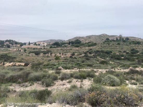 Terreno para cultivo (carretera de Aspe) - ALICANTE