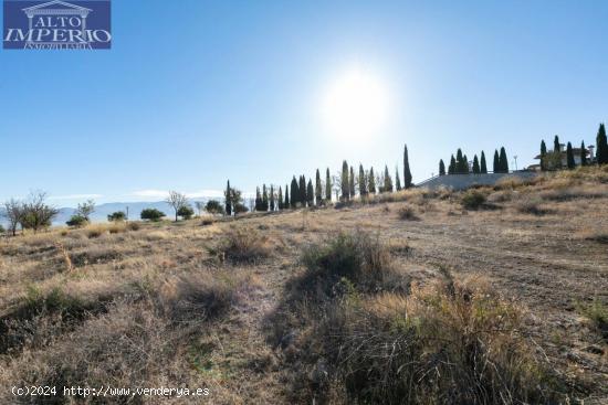 LA FINCA AL MEJOR PRECIO QUE ENCONTRARÁS EN PEDRO VERDE - GRANADA