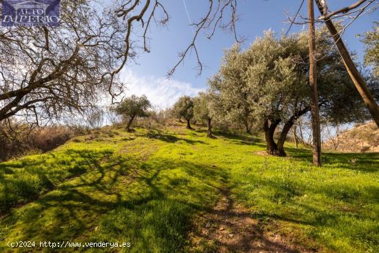  A LA VENTA FINCA RÚSTICA EN EL FARGUE - GRANADA 