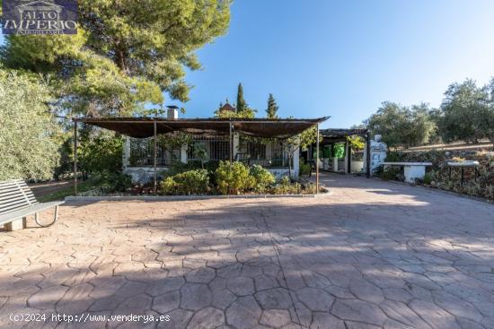 Casa rural con 300 olivos de riego y almendras - GRANADA