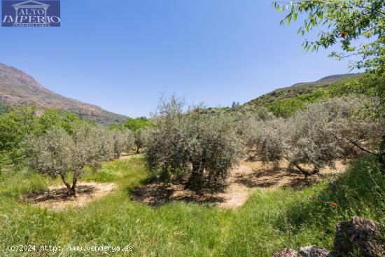  Finca Rustica en Guejar Sierra - GRANADA 