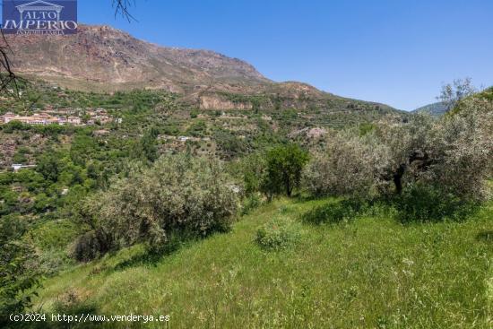 Terreno en venta Guejar Sierra - GRANADA