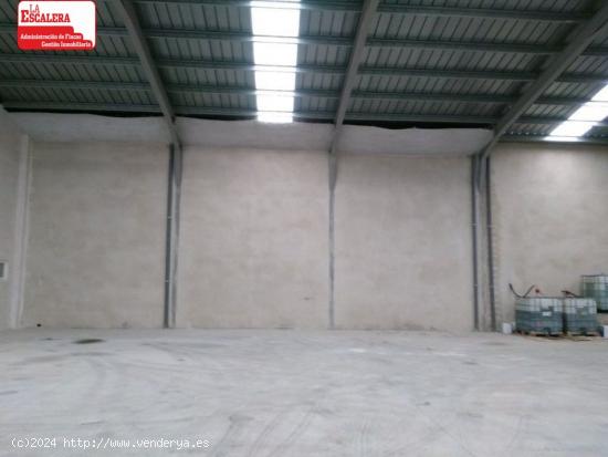 NAVE INDUSTRIAL 501M2 - ALICANTE