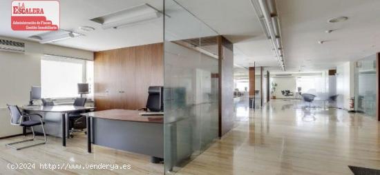 Se vende magnificas oficinas en zona centrica de Alicante, precio negociable. - ALICANTE