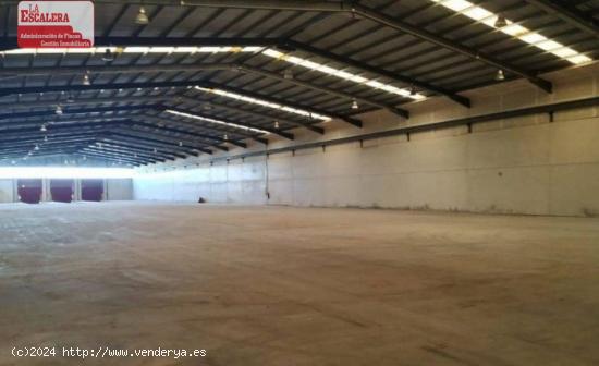 Se vende magnifica nave industrial 2.063 m², Murcia - MURCIA