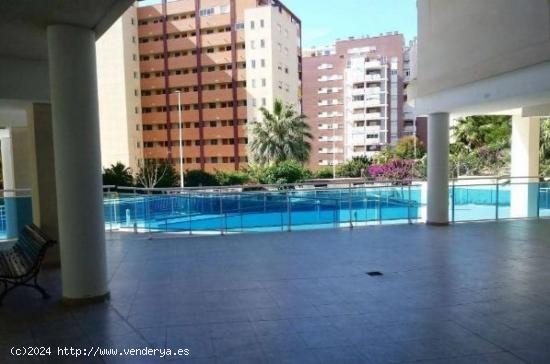 Vivienda con ascensor, garaje, trastero, piscina y jardin - ALICANTE