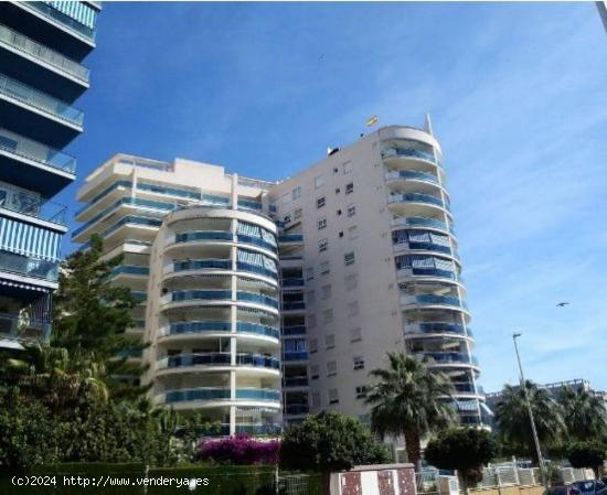 Vivienda con ascensor, garaje, trastero, piscina y jardin - ALICANTE