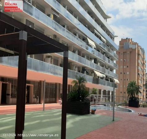 Piso, ascensor, piscina, jardines y parque infantil - ALICANTE