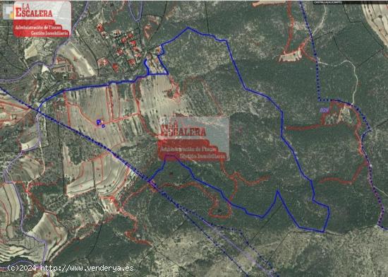  PORTELL DE CATÍ. 88 HA. DE SUELO NO URBANIZABLE EN CASTALLA. - ALICANTE 