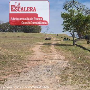 TERRENO EN VENTA EN LOMA BADA - ALICANTE