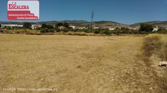 Parcela rústica en Ibi para alquilar. Dispone de pozo y derechos de riego - ALICANTE