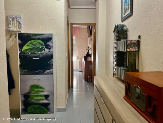 BONITO APARTAMENTO A 100M DE PLAYA DE LOS LOCOS!! - ALICANTE