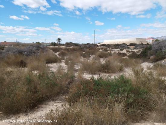 parcela partida de matola , 4000 metros de terreno,asi puede quedar - ALICANTE