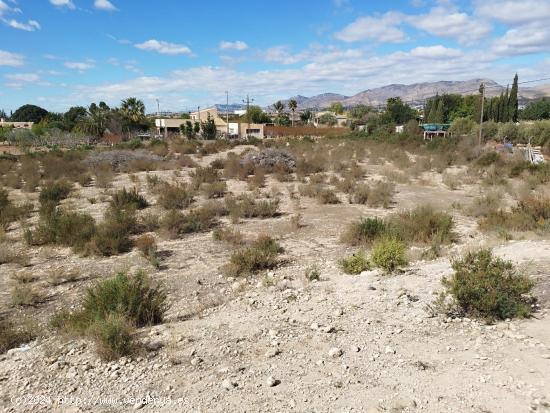 parcela partida de matola , 4000 metros de terreno,asi puede quedar - ALICANTE