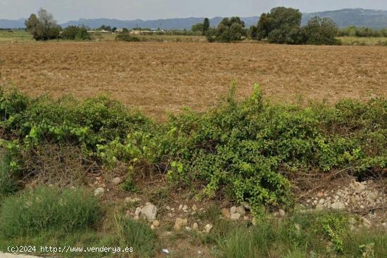 FINCA RUSTICA ULLDECONA - TARRAGONA