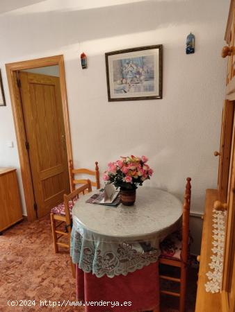 PISO DE DOS DORMITORIO CON PISCINA EN EL CENTRO DE TORREVIEJA - ALICANTE