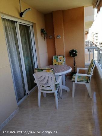 PRECIOSO APARTAMENTO DE 2 DORMITORIOS A 50 METROS DE LA PLAYA DEL CURA - ZONA TORREVIEJA - - ALICANT