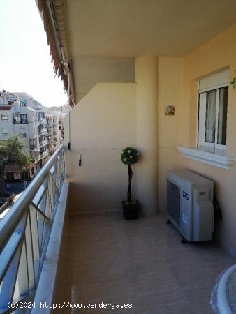 PRECIOSO APARTAMENTO DE 2 DORMITORIOS A 50 METROS DE LA PLAYA DEL CURA - ZONA TORREVIEJA - - ALICANT