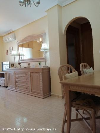 PRECIOSO APARTAMENTO DE 2 DORMITORIOS A 50 METROS DE LA PLAYA DEL CURA - ZONA TORREVIEJA - - ALICANT