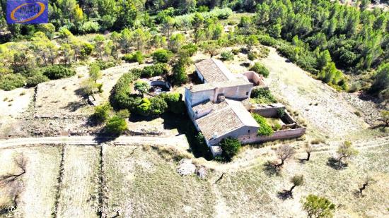 FINCA DE PASTOS EN YATOVA - VALENCIA