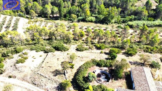 FINCA DE PASTOS EN YATOVA - VALENCIA