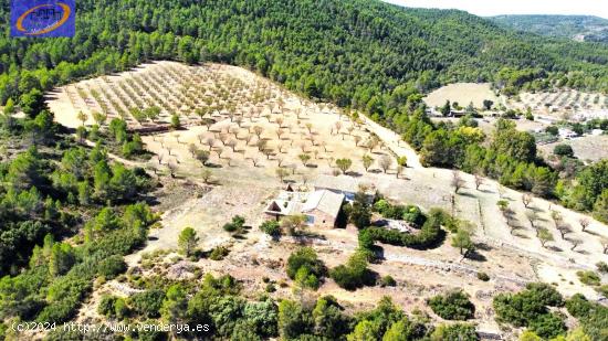 FINCA DE PASTOS EN YATOVA - VALENCIA