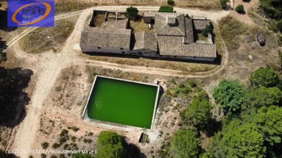 FINCA DE VIÑEDOS EN COFRENTES - VALENCIA