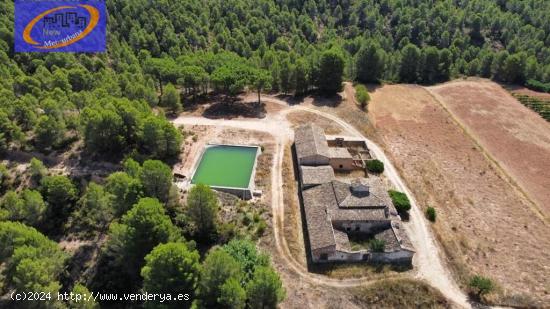 FINCA DE VIÑEDOS EN COFRENTES - VALENCIA