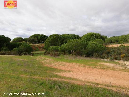 Finca en Lepe - HUELVA