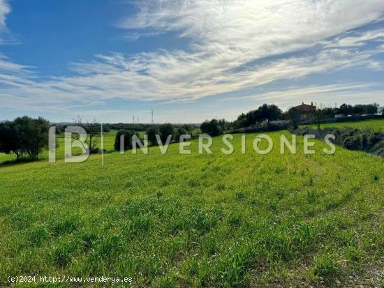 Terreno rústico en venta en Es Bessons, Manacor - BALEARES