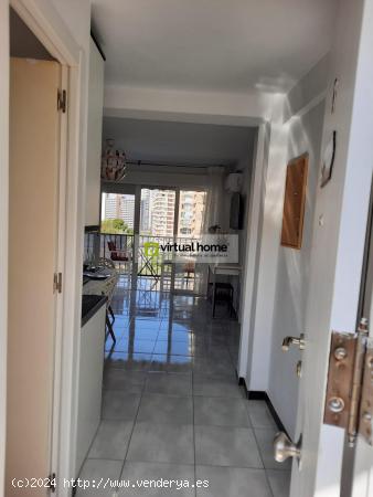 Se Vende en Benidorm - ALICANTE