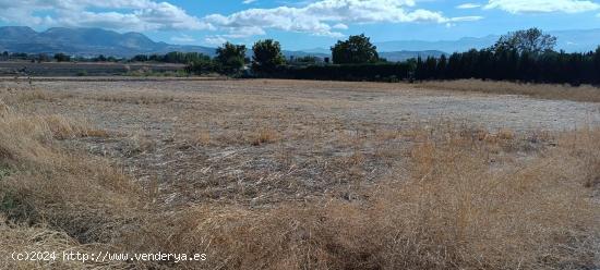 Se Vende en Albolote - GRANADA