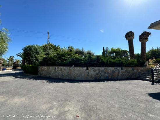 FINCA LOS CHELINES EN SAN MIGUEL - ALICANTE