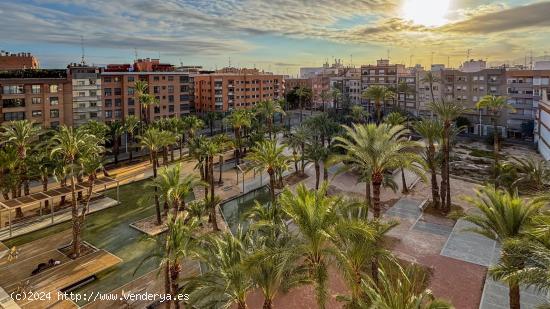 Se Alquila en Elche - ALICANTE