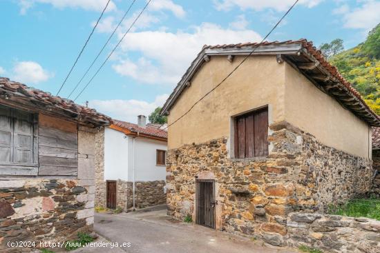 ¡Cuadra y terreno rústico en venta en Páramo, Teverga! - ASTURIAS