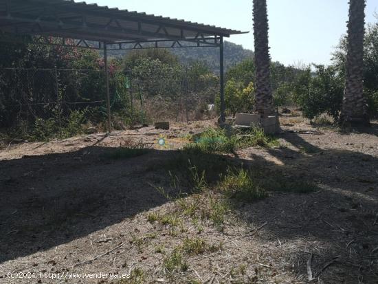 Terreno a la venta en Alquería de la condesa - VALENCIA