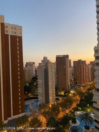 IMPRESIONANTE VIVIENDA DE DOS DORMITORIOS - ALICANTE