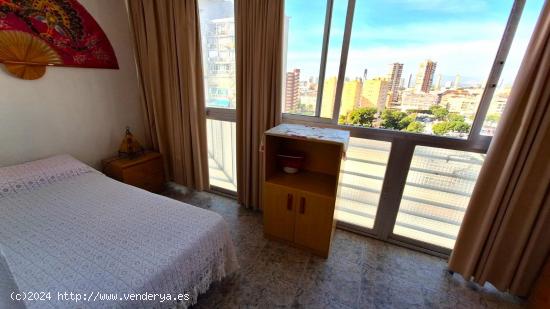 APARTAMENTO DE 1 DORMITORIO - ALICANTE