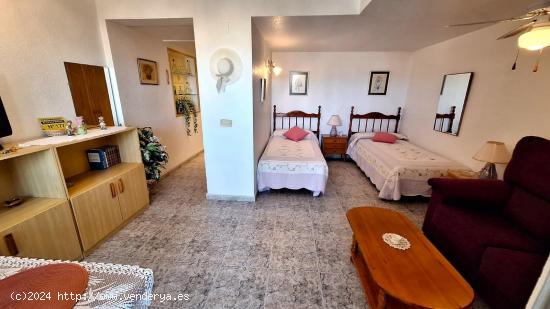 APARTAMENTO DE 1 DORMITORIO - ALICANTE