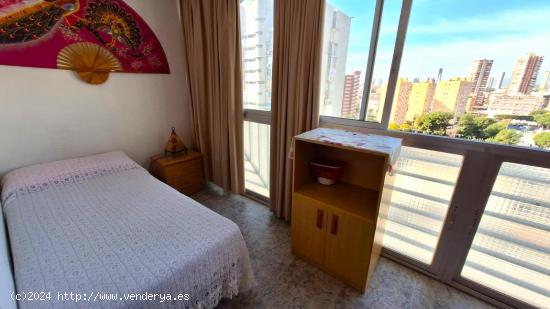 APARTAMENTO DE 1 DORMITORIO - ALICANTE