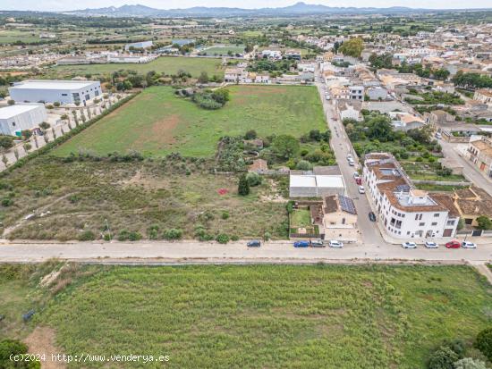 Solar amplio y despejado anexo a Petra - BALEARES