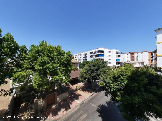 Se Vende en San Pedro de Alcantara - MALAGA