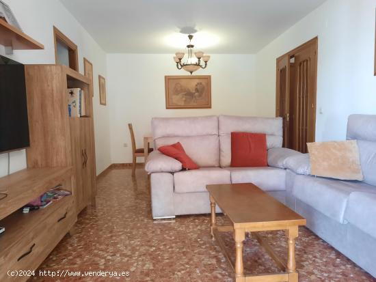 Se Vende en San Pedro de Alcantara - MALAGA