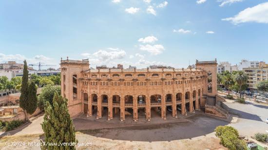 PISO EN ARCHIDUQUE LUIS SALVADOR DE PALMA, DE 145 M2. - BALEARES