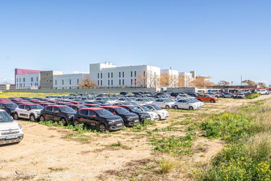 SOLAR URBANO, DESTINADO A SERVICIOS, EN URBANIZACION SON MALFERIT, POLIGONO DE LEVANTE. ( PALMA ) - 