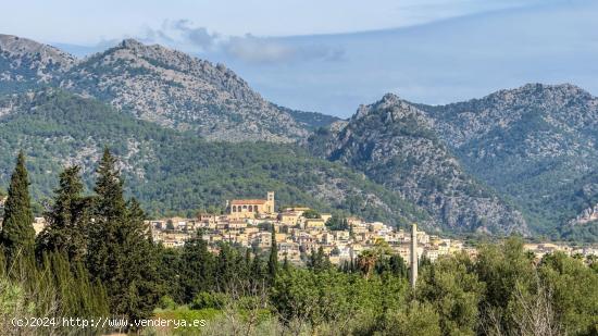 FINCA RÚSTICA EN SELVA EN PROCESO DE LEGALIZACION , 16.000 M2 - BALEARES