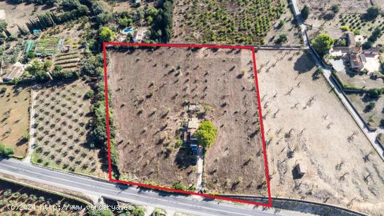 FINCA RÚSTICA EN SELVA EN PROCESO DE LEGALIZACION , 16.000 M2 - BALEARES